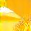 Icona rappresentante Energia Pulita